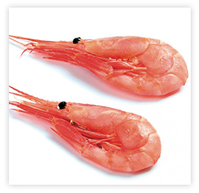 Peppered shrimp